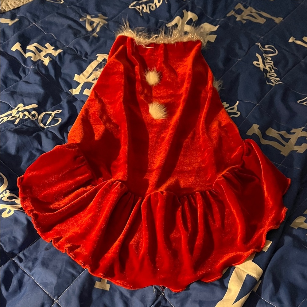 Charming Red Velvet Dog Dress with Fur Trim